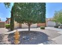 View of the home's exterior with a large shade tree and lush landscaping at 36255 W Marin Ave, Maricopa, AZ 85138