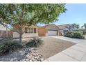Single Gathering home with desert xeriscape in the front yard at 1026 E Julie Ave, San Tan Valley, AZ 85140