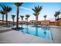 Resort-style community pool surrounded by mature palm trees with plenty of open seating areas at 20901 S 231St Way, Queen Creek, AZ 85142