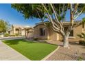 Home featuring desert landscaping, green grass, and a large shade tree on a sunny day at 2183 W Hawken Way, Chandler, AZ 85286