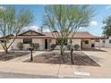 Classic single-story home featuring desert landscaping, a walkway, and covered parking area at 7049 E Latham St, Scottsdale, AZ 85257
