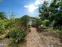 Beautiful backyard featuring mature sunflowers, flowers, wood mulch, and a vine-covered archway at 4629 N 9Th St, Phoenix, AZ 85014