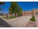 Desert-style house featuring a xeriscaped yard, wide driveway, and a large shade tree in the front at 10318 E Michigan Ave, Sun Lakes, AZ 85248