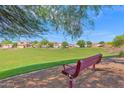 Red park bench overlooking the well-maintained grassy park, offering a tranquil community space for relaxation and recreation at 2620 E Rustling Oaks Ln, Phoenix, AZ 85024