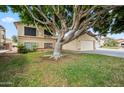 Charming home with a large tree shading the front yard at 608 E Arabian Ct, Gilbert, AZ 85296