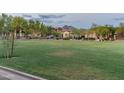 Beautiful grassy neighborhood with tree-lined streets and views of nearby mountains at 17728 N 92Nd Pl, Scottsdale, AZ 85255