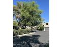 A pleasant street scene showcases attractive landscaping and mature trees, contributing to the community's appeal at 618 E Manzanita Pl, Phoenix, AZ 85020