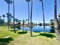 Serene lake view framed by swaying palm trees and lush greenery, perfect for lakeside living at 869 W Shellfish Dr, Gilbert, AZ 85233
