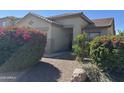 Inviting single-story home with desert landscaping, including bright pink bougainvillea, along the front yard at 11921 W Madison St, Avondale, AZ 85323