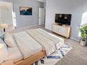 Bright bedroom with natural light, carpet flooring, a tv, closet, and a modern style bed at 12211 W Prickly Pear Trl, Peoria, AZ 85383