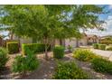 Manicured front yard showcasing lush greenery, flowering bushes, and mature shade trees at 22660 N 122Nd Ave, Sun City, AZ 85373