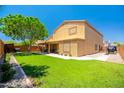Expansive backyard featuring lush green grass, mature trees, and a covered patio area at 3511 W Allens Peak Dr, San Tan Valley, AZ 85144