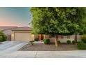 Charming home with lush landscaping, mature shade tree, and well-maintained yard at 10440 W Swayback Pass, Peoria, AZ 85383