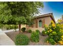 Beautiful landscaping with colorful flowers, mature trees, and well-manicured shrubs at 10440 W Swayback Pass, Peoria, AZ 85383