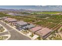 Neighborhood view showcasing houses in proximity to nurseries and distant mountains at 16824 W Alice Ave, Waddell, AZ 85355