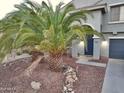 Landscaped front yard with desert foliage and rocks around an arched front door at 19182 N Smith Dr, Maricopa, AZ 85139
