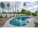 Outdoor pool area surrounded by mature palm trees and desert landscaping at 5937 E Corrine Dr, Scottsdale, AZ 85254