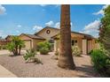Inviting single-story home featuring desert landscaping, palm trees, and a welcoming facade at 6420 W Beverly Ln, Glendale, AZ 85306