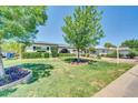 Well-maintained front yard with lush green grass, mature trees, trimmed shrubs, and a circular flower bed at 6808 N 11Th St, Phoenix, AZ 85014