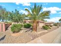 Well-maintained front yard with lush desert landscaping and mature palm trees at 15101 W Waterford Dr, Surprise, AZ 85374