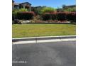 Well-maintained community lawn area with flower beds and lush green landscaping at 3900 E Baseline Rd # 166, Phoenix, AZ 85042