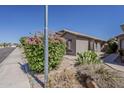 Attractive single-story house with desert landscaping and block wall at 15905 W Saguaro Ln, Surprise, AZ 85374