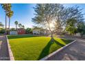 Beautiful backyard featuring lush green artificial turf and mature trees providing ample shade at 6615 E Desert Cove Ave, Scottsdale, AZ 85254