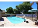 Outdoor swimming pool with clear blue water, a basketball hoop, and a patio area under a sunny sky at 1640 W Gail Dr, Chandler, AZ 85224