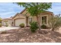 Inviting single-story home with a two-car garage and mature landscaping in a desirable neighborhood at 29151 N Lilly Ln, San Tan Valley, AZ 85143