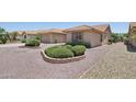 Desert landscaping and mature shrubbery in this low maintenance front yard at 9263 W Oraibi Dr, Peoria, AZ 85382
