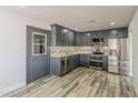 Modern kitchen features stainless steel appliances, granite countertops, and stylish gray cabinetry at 662 W Elena Ave, Mesa, AZ 85210