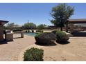 Inviting backyard featuring a refreshing pool, covered patio, desert landscaping, and mature trees at 12212 N 66Th St, Scottsdale, AZ 85254
