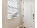 Bright entryway featuring a white front door with modern hardware and natural light streaming through the window at 21228 N 58Th St, Phoenix, AZ 85054