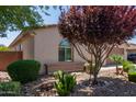Landscaped front yard featuring various plants, desert landscaping, and a well manicured yard at 157 W Leatherwood Ave, San Tan Valley, AZ 85140