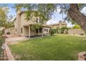 Expansive backyard featuring a covered patio, mature trees, and a well-maintained lawn at 15235 S 30Th St, Phoenix, AZ 85048