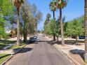 Charming street view lined with mature trees offering shade to homes and parked cars at 530 W Willetta St, Phoenix, AZ 85003