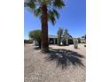 View of home with xeriscape landscaping featuring mature palm tree, cacti and desert shrubbery at 8133 W Mclellan Rd, Glendale, AZ 85303