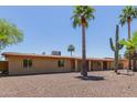 Desert home with mature palm trees, desert landscaping and a quaint entryway at 7101 E Cholla St, Scottsdale, AZ 85254