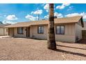 Single story home with gravel front yard, and desert landscaping with a tall palm tree in the foreground at 1512 W Crescent Ave, Mesa, AZ 85202