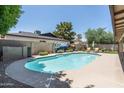 Large in-ground pool with a muraled privacy wall and landscaped perimeter, perfect for outdoor relaxation and entertaining at 2301 E Sunnyside Dr, Phoenix, AZ 85028