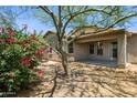 The backyard patio area features a covered space and mature landscaping providing privacy and desert charm at 35314 N 31St Ave, Phoenix, AZ 85086