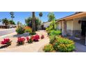 Landscaped front yard featuring mature trees, colorful bushes, and a curved walkway leading to the entrance at 4617 E Emile Zola Ave, Phoenix, AZ 85032