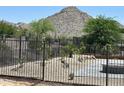 View of backyard with wrought iron fencing and desert landscaping at 18717 N 267Th Dr, Buckeye, AZ 85396