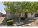 Landscaped front yard featuring desert landscaping, mature shade trees and a long driveway at 8828 N 102Nd Ln, Peoria, AZ 85345