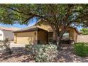 Single-story home featuring a two-car garage, desert landscaping, mature shade tree and a neutral color scheme at 16441 N 138Th Ave, Surprise, AZ 85374
