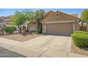 Well-maintained single-story home with low-maintenance desert landscaping and attached two-car garage at 4131 E Cascalote Dr, Cave Creek, AZ 85331
