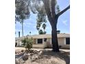 Charming single-story home featuring desert landscaping and a spacious driveway leading to an attached garage at 1304 E Hackamore St, Mesa, AZ 85203
