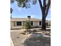 Exterior view of a charming single-story home with desert landscaping and mature trees at 1304 E Hackamore St, Mesa, AZ 85203