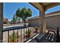 Relaxing front porch featuring a swing bench, decorative plants, and an inviting view at 15040 W Windrose Dr, Surprise, AZ 85379