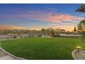 Expansive backyard featuring a manicured lawn, cozy seating areas, and desert landscaping for serene outdoor living at 18199 W Buckhorn Dr, Goodyear, AZ 85338